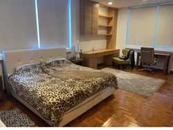 Shamrock Park (D10), Detached #477262901